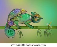 two camouflaged chameleons two camouflaged chameleons