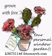 מצחיק, prettry, פרח של קקטוס, ב, צייר