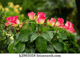 floral arrangement cemetery 19