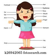 ilustração, de, menina