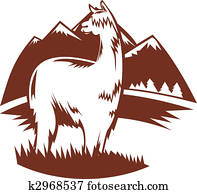 suri alpaca with mountains in the background suri alpaca with mountains in the background
