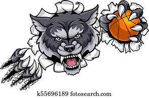 זאב, כדור סל, קמיע, לשבור, רקע