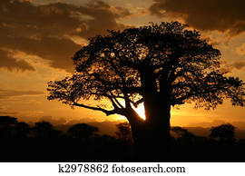 African Sunset. Tanzania, Africa