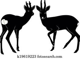deer deer