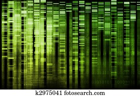 Information Technology Information Technology