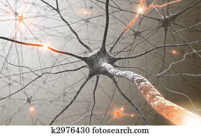 Neuron Neuron
