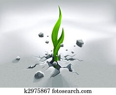 Strong sprout, pushing out through stone ground Strong sprout, pushing out through stone ground