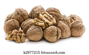 Tablett, mit, haselnüsse, und, walnüsse, weiß, hintergrund, nahaufnahme