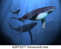 אוקינוס, הריסות