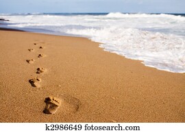 Footprints leading into the sea