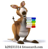 Fun kangaroo Fun kangaroo