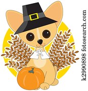 Chihuahua Thanksgiving Chihuahua Thanksgiving