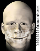 male figure dental scan