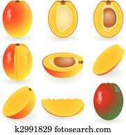 Mango Mango