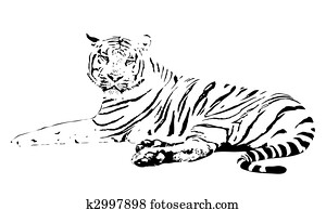 Tiger Tiger