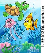 Various sea fishes and animals Various sea fishes and animals