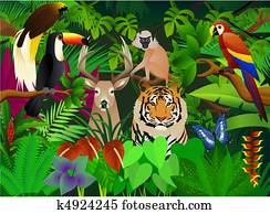 wild animal wild animal