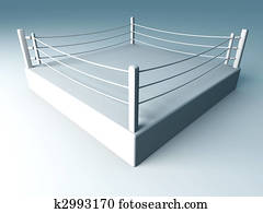 צלצול של אגרוף