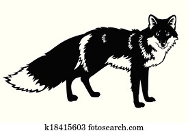 שועל, שחור, לבן