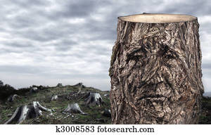 Dying woods Dying woods