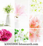 Flower collage