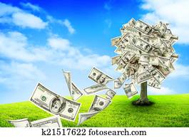 Money tree Money tree