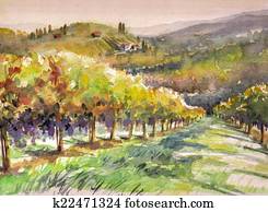 Vineyard Vineyard