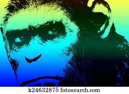 Dawn of the Planet of the Apes Dawn of the Planet of the Apes