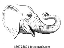 Elefant Kopf Stock Illustrationen | 704 Elefant Kopf Kunst | Fotosearch