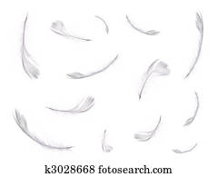 floating feathers