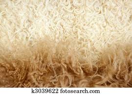 Lamb wool macro texture closeup cream color