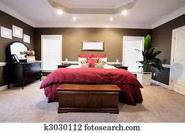 Large Bedroom Interior