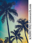 Retro Sunset Palm Trees Retro Sunset Palm Trees