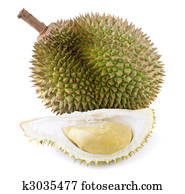 Tropical fruit - Durian
