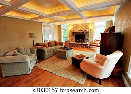 Upscale Living Room Interior