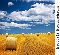Farm field with hay bales Farm field with hay bales