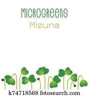 Microgreens samen