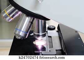 Microscope Microscope