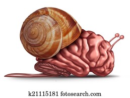 Thinking Slow Thinking Slow