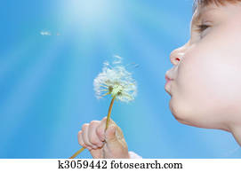 dandelion wishing blowing seeds