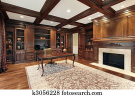 Library with fireplace Library with fireplace