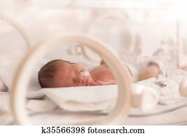 Premature newborn baby girl Premature newborn baby girl