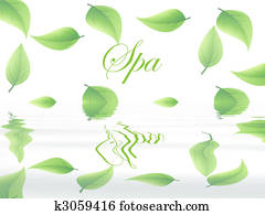 Spa Spa