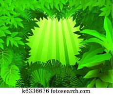 Tropical rainforest background Tropical rainforest background