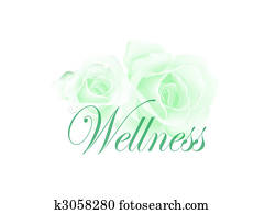 Wellness Wellness