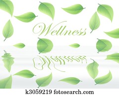 Wellness Wellness