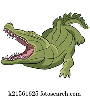 Alligator Cartoon Alligator Cartoon