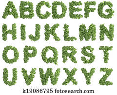 Broccoli alphabet on white background Broccoli alphabet on white background