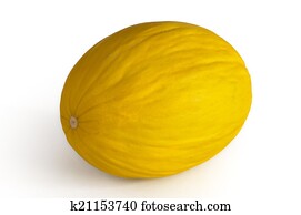 melon canary