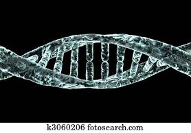 DNA DNA